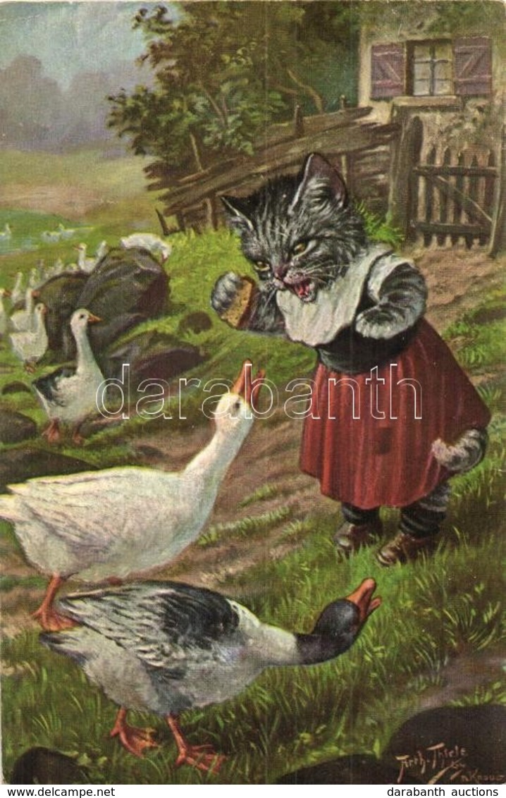 ** T3 Cat Feeding The Ducks. T. S. N. Serie 1830. (6 Dess.) S: Arthur Thiele (EB) - Zonder Classificatie