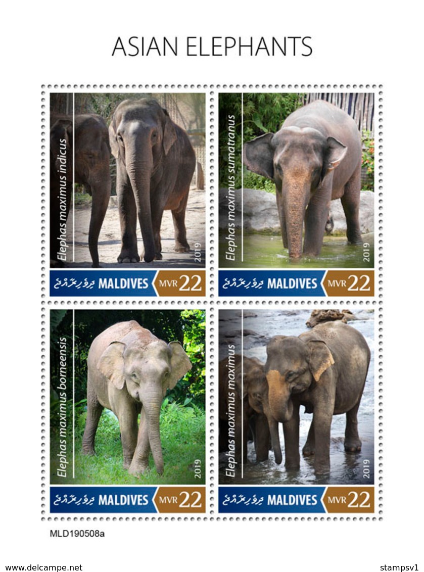 Maldives. 2019 Asian Elephants. (0508a)  OFFICIAL ISSUE - Elephants