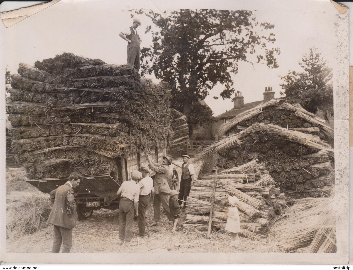 817 YEAR OLD FIRM BASKET MAKERS  NORTH WALSHAM NORFOLK BRITISH ISLES 20*15CM Fonds Victor FORBIN 1864-1947 - Mestieri