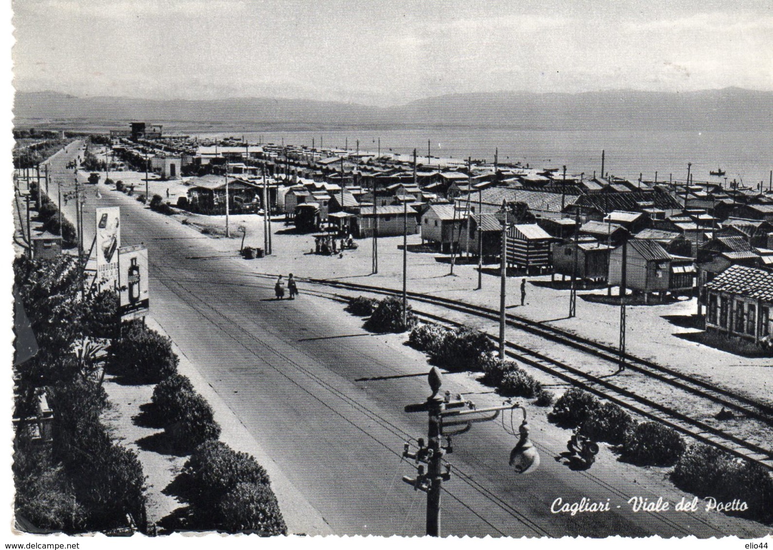 Sardegna - Cagliari - Viale Del Poetto - - Cagliari