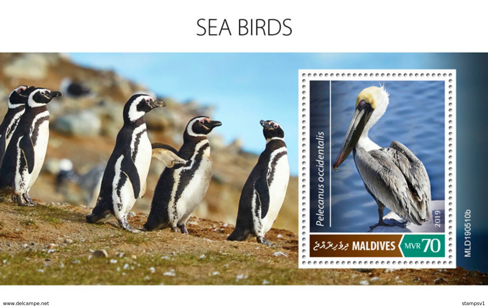 Maldives. 2019 Sea Birds. (0510b)  OFFICIAL ISSUE - Pingouins & Manchots