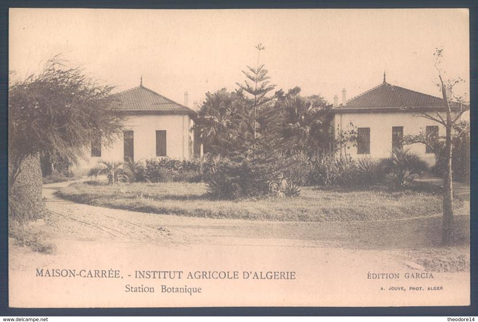 Lot De 3 Cartes Algérie MAISON CARREE Institut Agricole D'Algérie - Alger