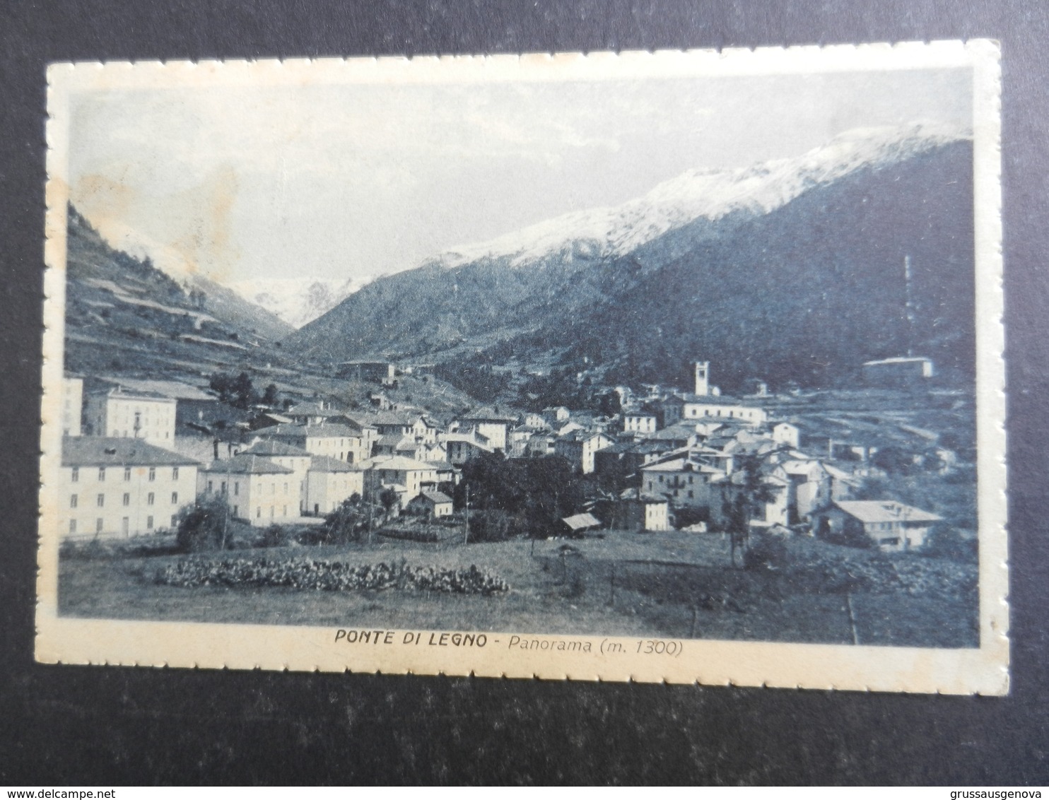 19969) BRESCIA PONTE DI LEGNO PANORAMA VIAGGIATA 1926 TIMBRO SOCIETA' ALPINISTI CATTOLICI GENOVA - Brescia