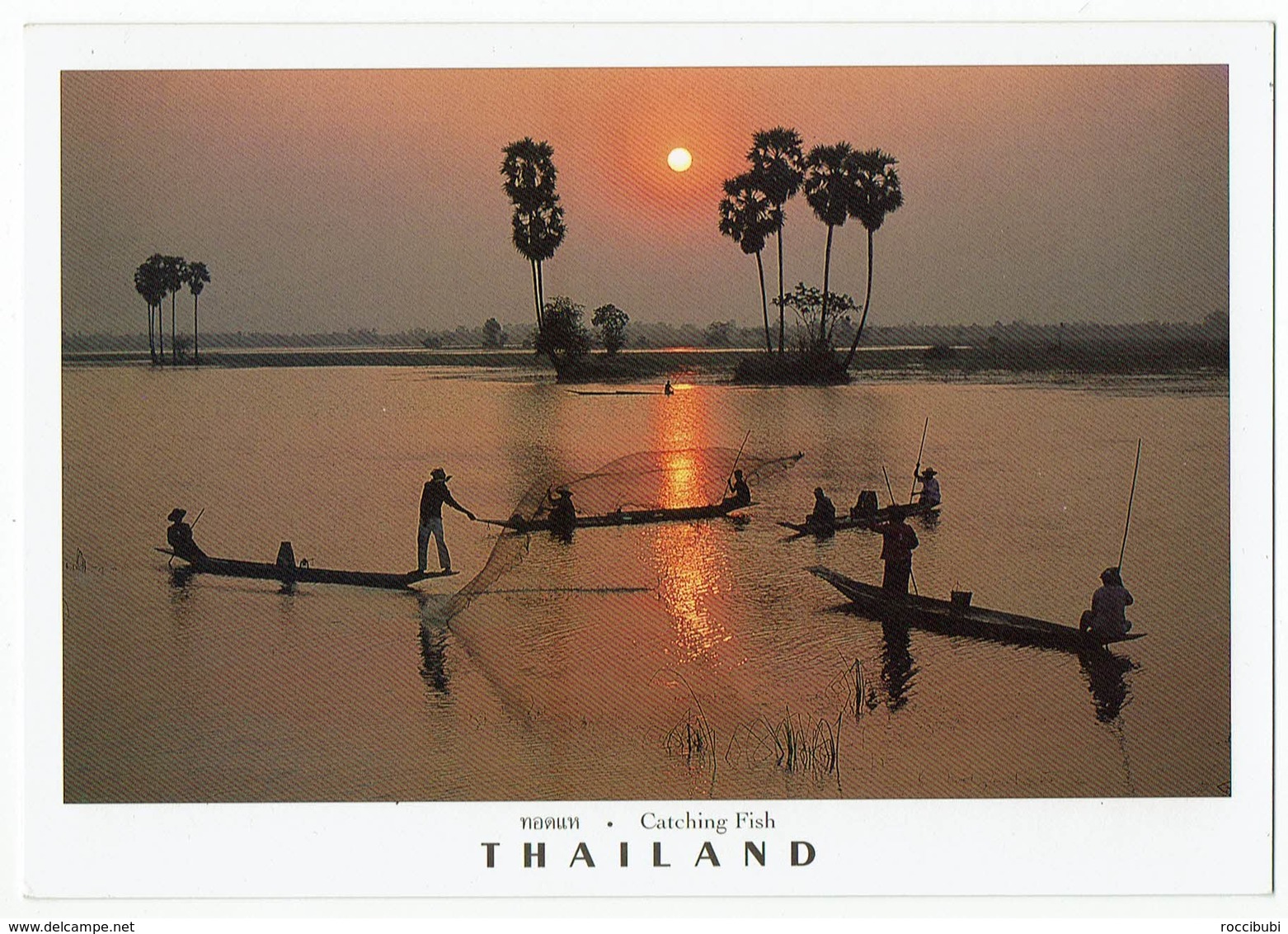 Thailand, Catching Fish - Thailand