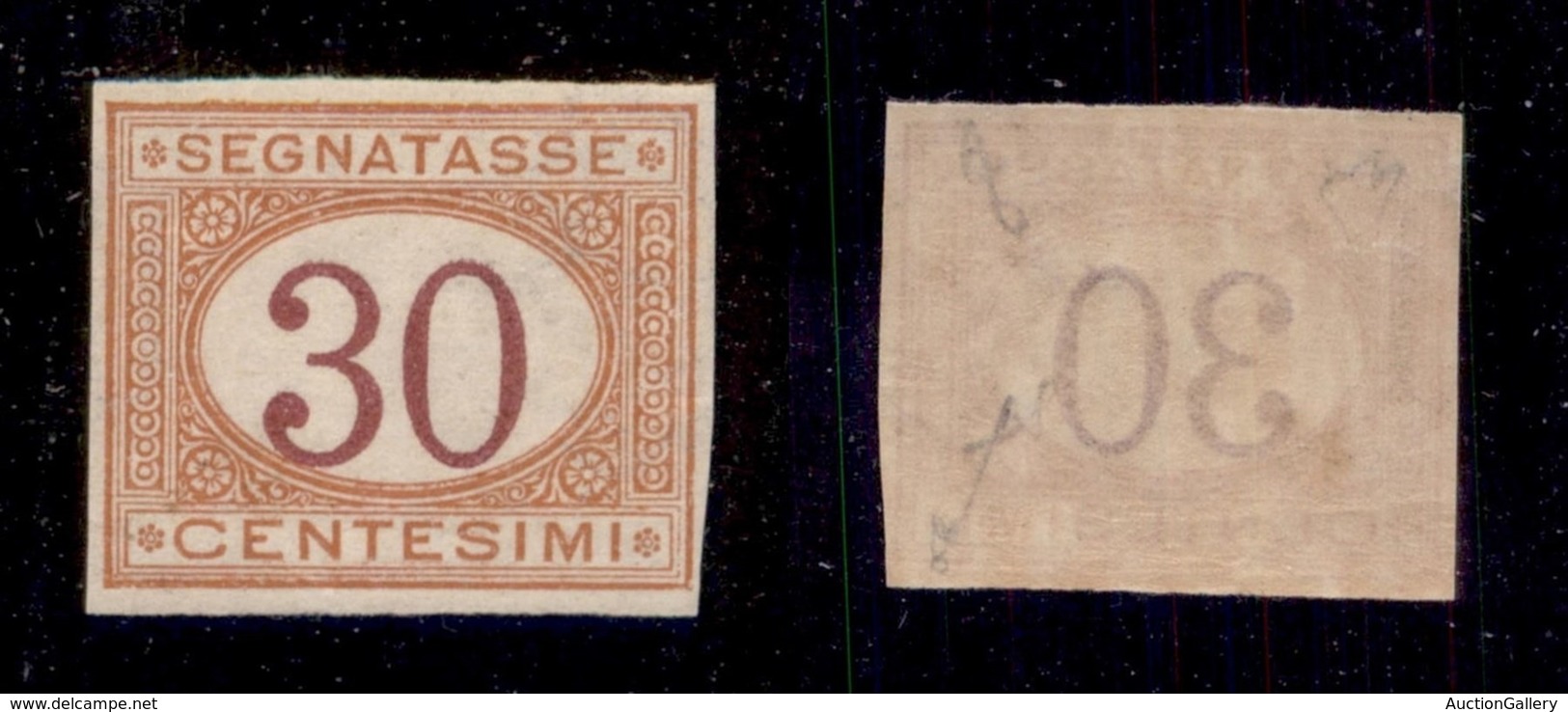 REGNO - 1890 - 30 Cent (23g) Non Dentellato - Gomma Integra - Fiecchi + Cert AG (8.250) - Autres & Non Classés