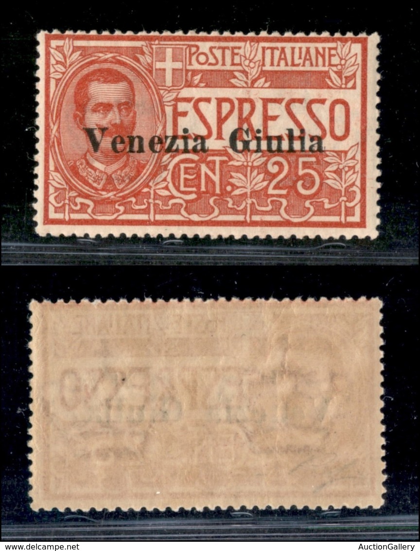 OCCUPAZIONI I GUERRA MONDIALE - Venezia Giulia - 1919 - 25 Cent (1) - Gomma Integra (625) - Autres & Non Classés