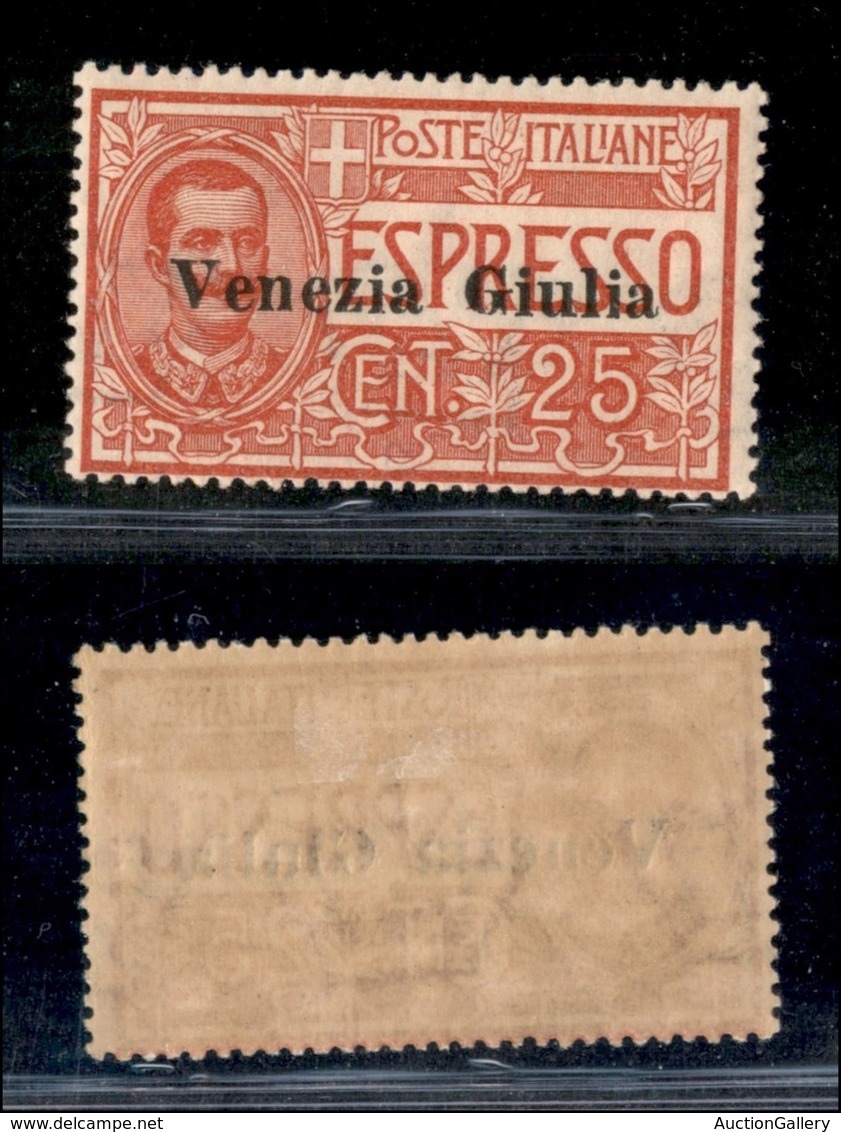 OCCUPAZIONI I GUERRA MONDIALE - Venezia Giulia - 1919 - 25 Cent (1) - Gomma Originale (250) - Autres & Non Classés