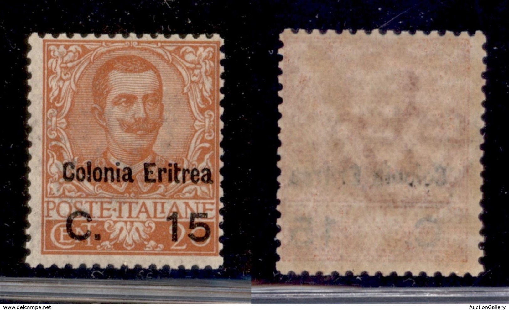 COLONIE - Eritrea - 1905 - 15 Cent Su 20 Cent Floreale (30) - Gomma Integra (400) - Autres & Non Classés