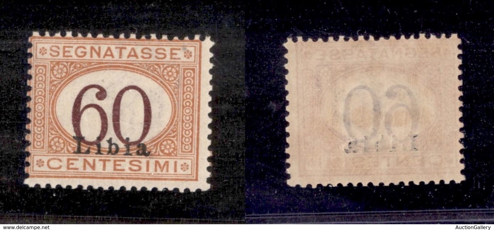 COLONIE - Libia - 1925 - 60 Cent (11) - Gomma Integra (600) - Other & Unclassified