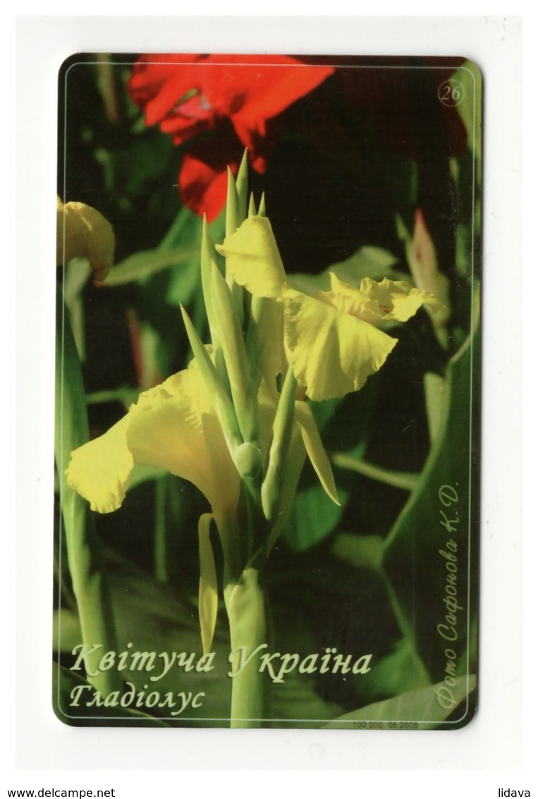 UKRAINE - Blooming Ukraine - Gladiolus - Flower - Phonecard Telecard Chip Card 7000 Units - Flores