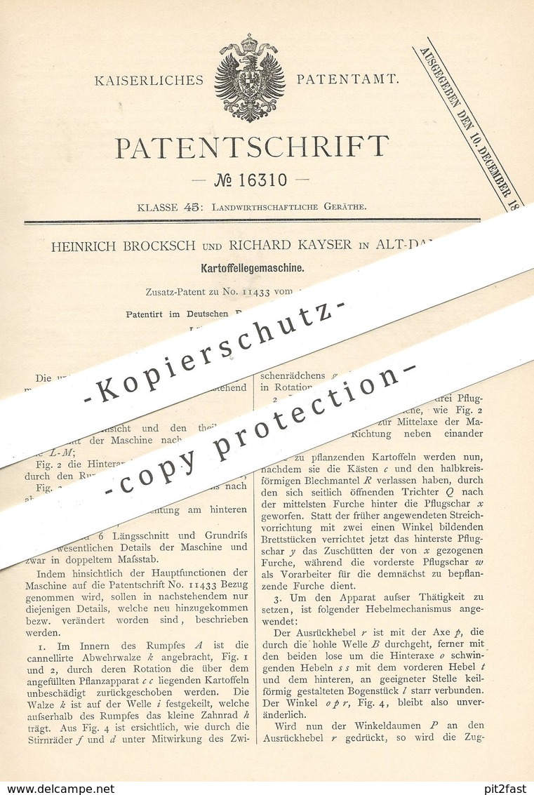 Original Patent - Heinrich Broksch , Richard Kayser , Alt Damm / Polen , 1881 , Kartoffellegemaschine | Kartoffeln !!! - Historische Dokumente