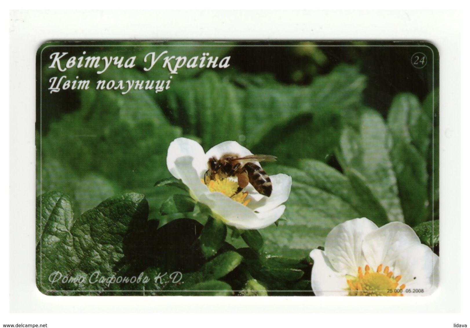 UKRAINE - Blooming Ukraine - Strawberry - Flower - Fauna Bug Bee - Phonecard Telecard Chip Card 7000 Units - Bienen