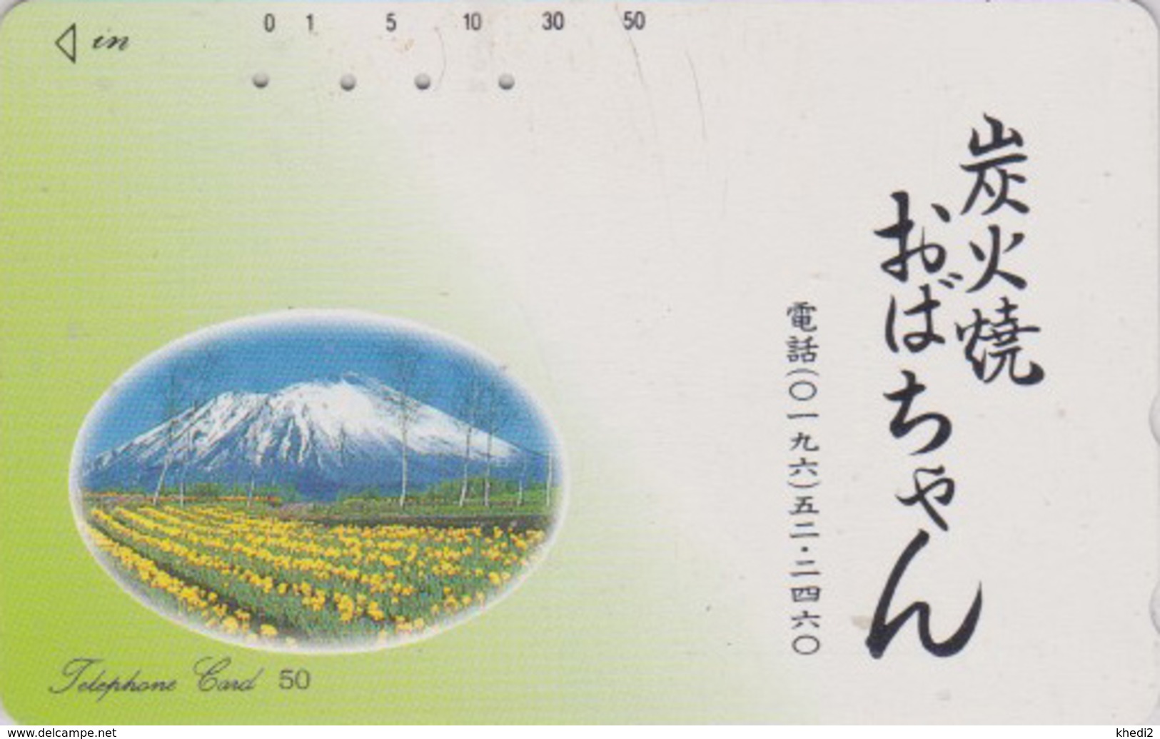 Télécarte Japon / 410-857 - Montagne MONT FUJI & Champ De Fleurs - Mountain & Flower Japan Phonecard - MD 255 - Japon