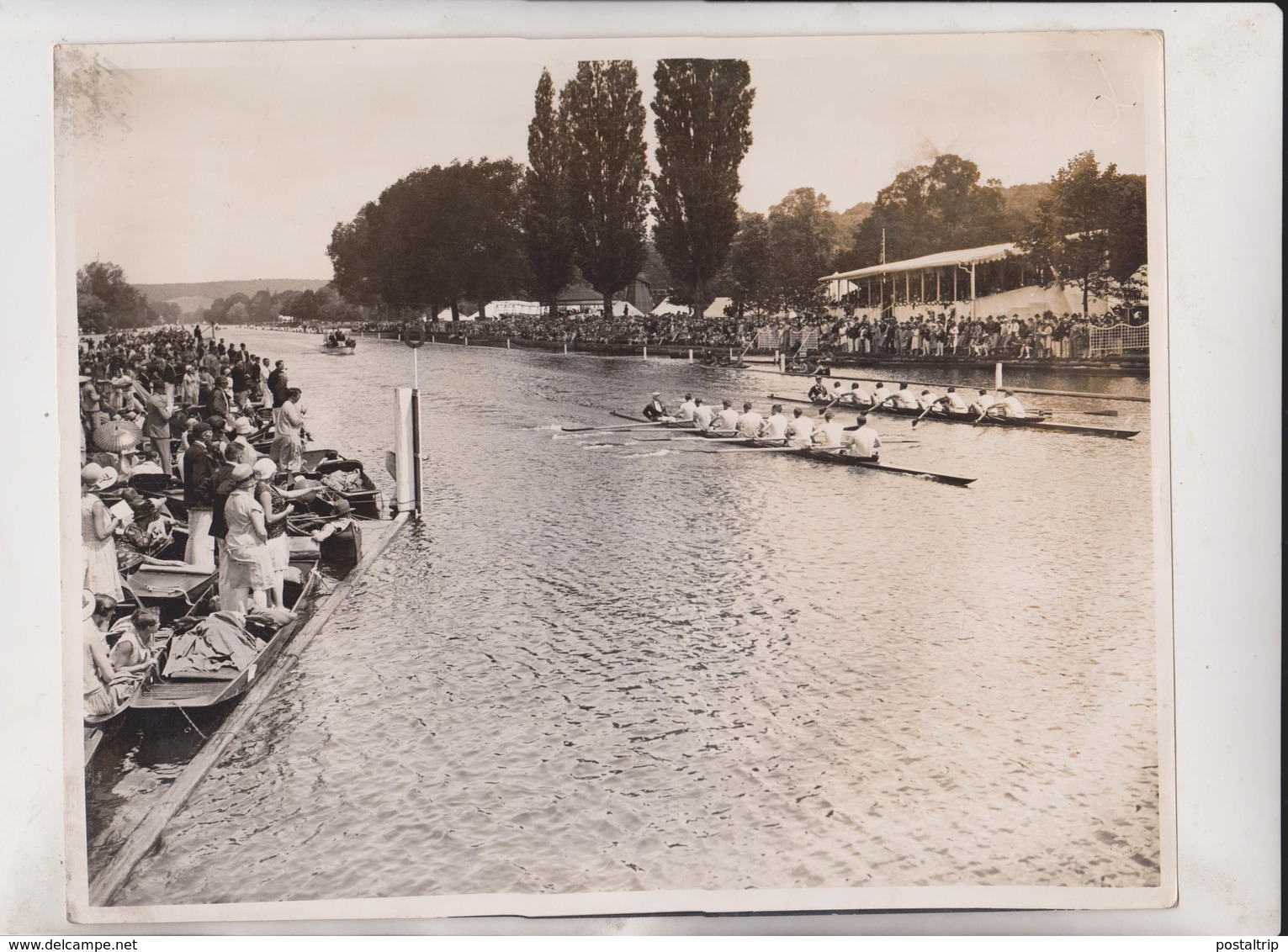 HENLEY ROYAL REGATTA WESTMINSTER BANK ROWING CAIUS COLLEGE THOMAS CHALLENGE   25*20CM Fonds Victor FORBIN 1864-1947 - Deportes