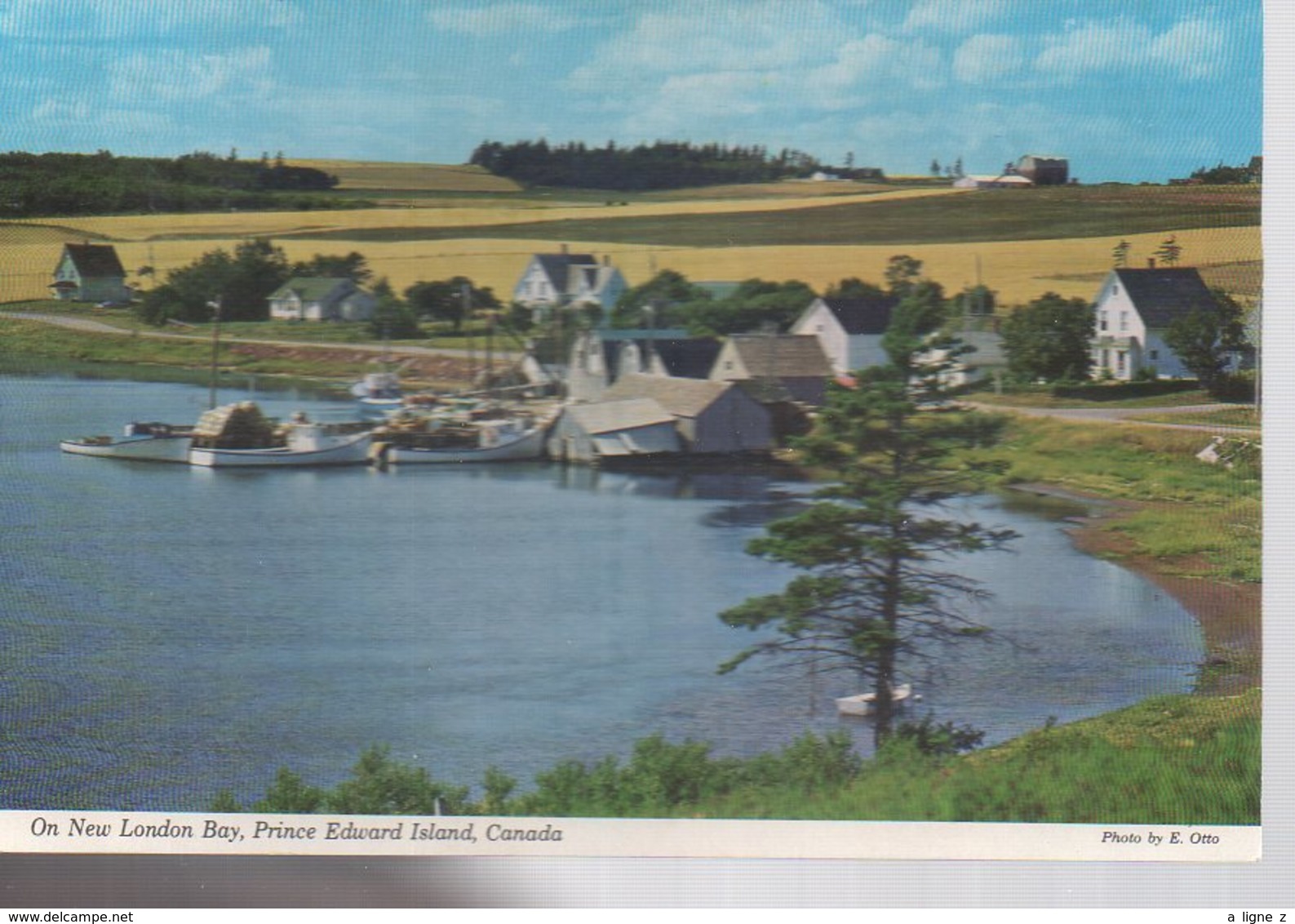 REF 358 : CPSM CANADA On New London Bay Prince Edward Island - Sonstige & Ohne Zuordnung