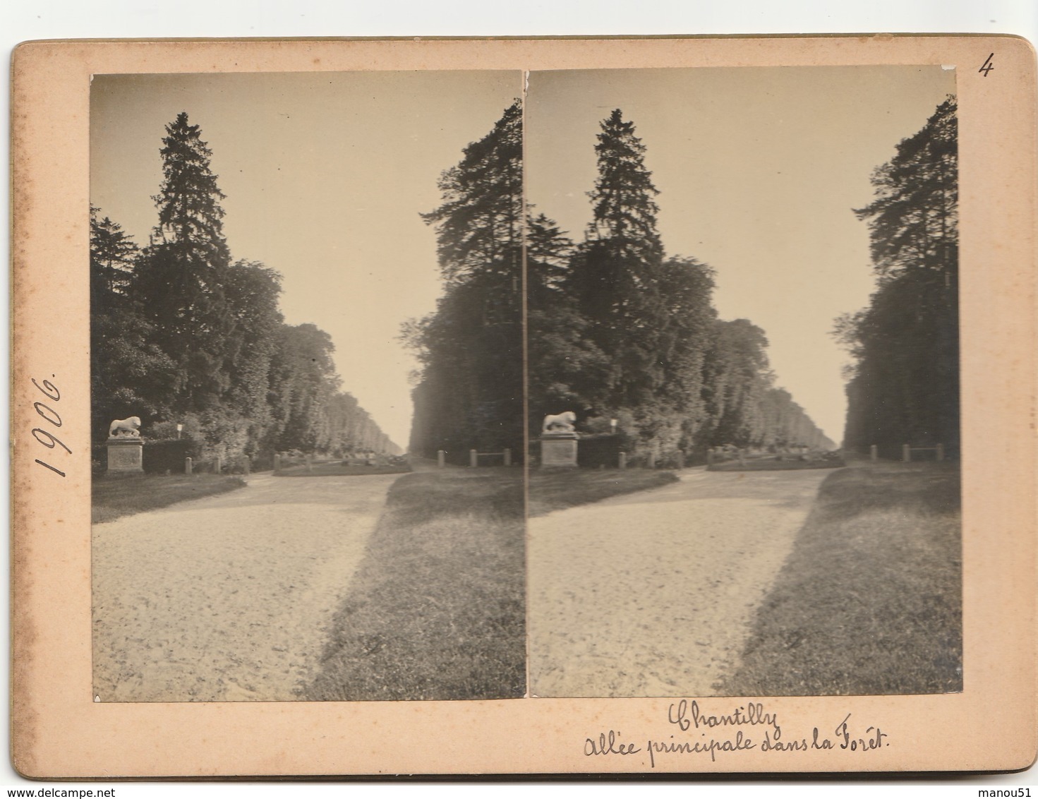 PHOTO  Stéréoscopique - CHANTILLY - Allée Principale Dans La Forêt - Stereoscopio