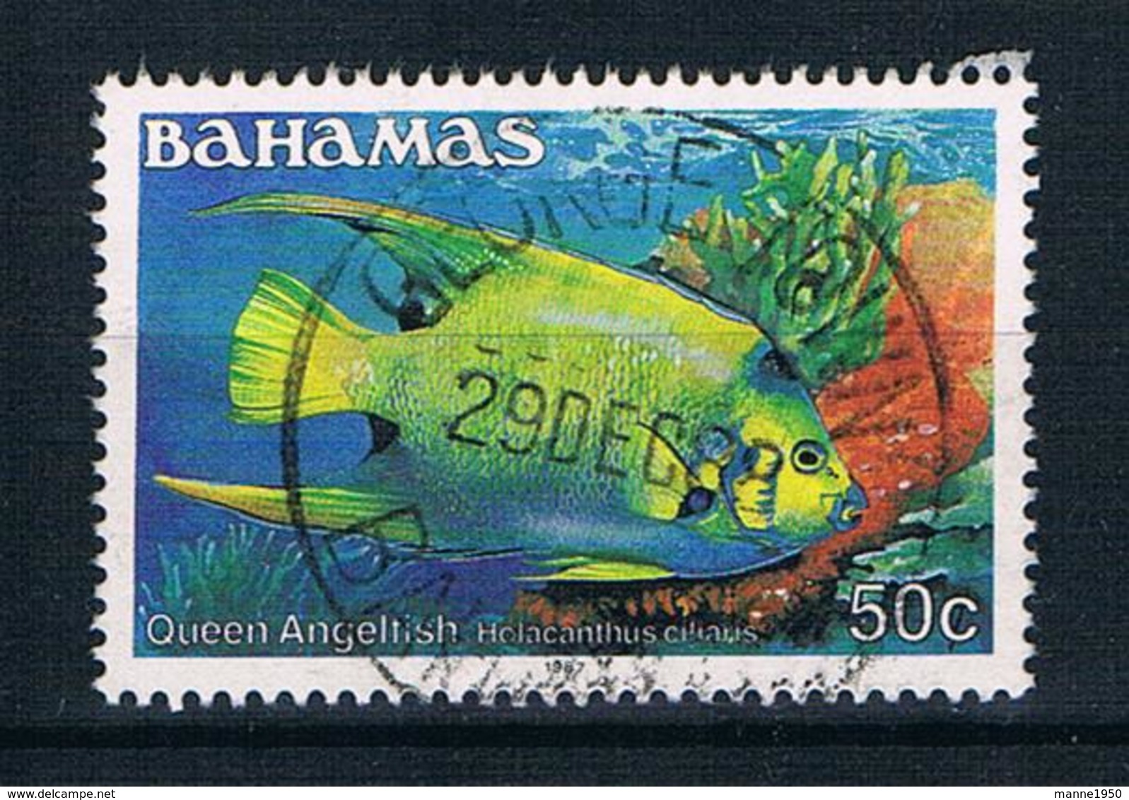 Bahamas 1986 Fische Mi.Nr. 627 YII Gestempelt - Bahamas (1973-...)