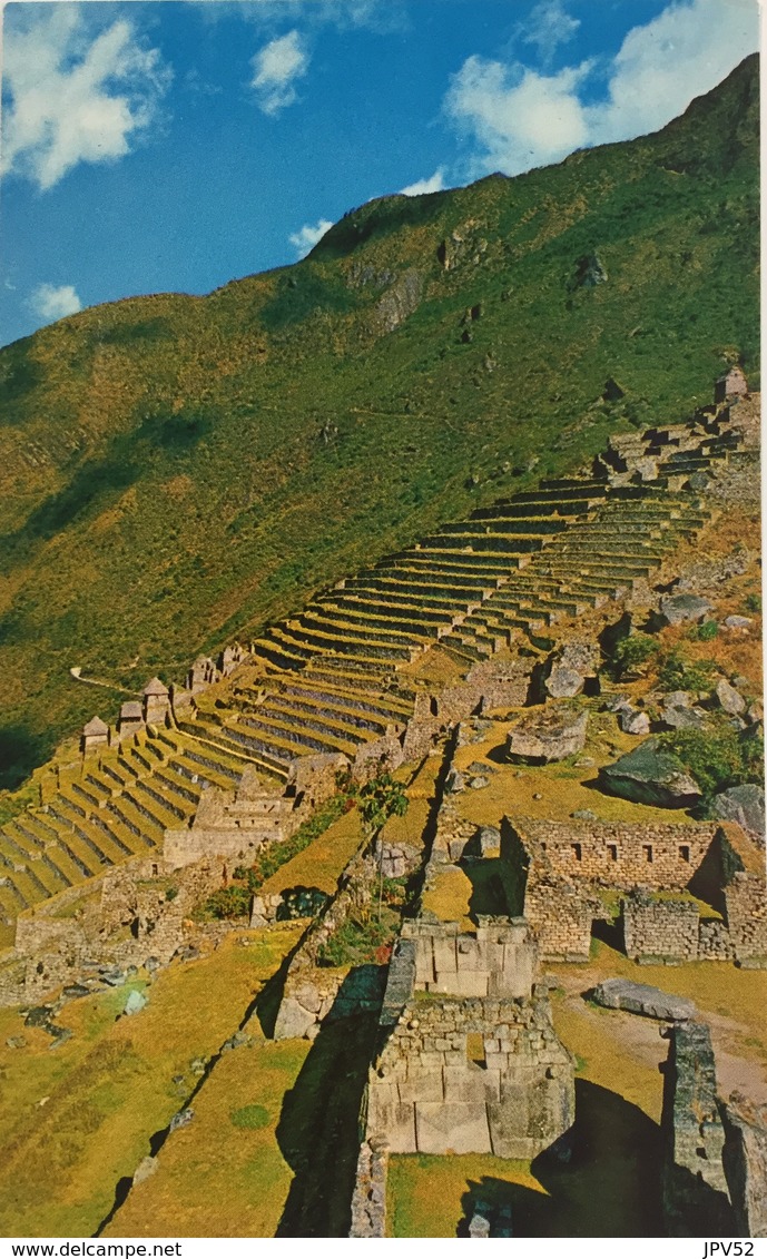 (668) Peru - Machupicchu - Inca Terraces For Agriculture - Pérou