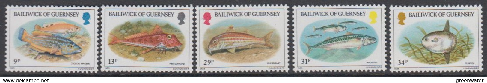 Guernsey 1985 Fishes 5v ** Mnh (44098A) - Guernsey
