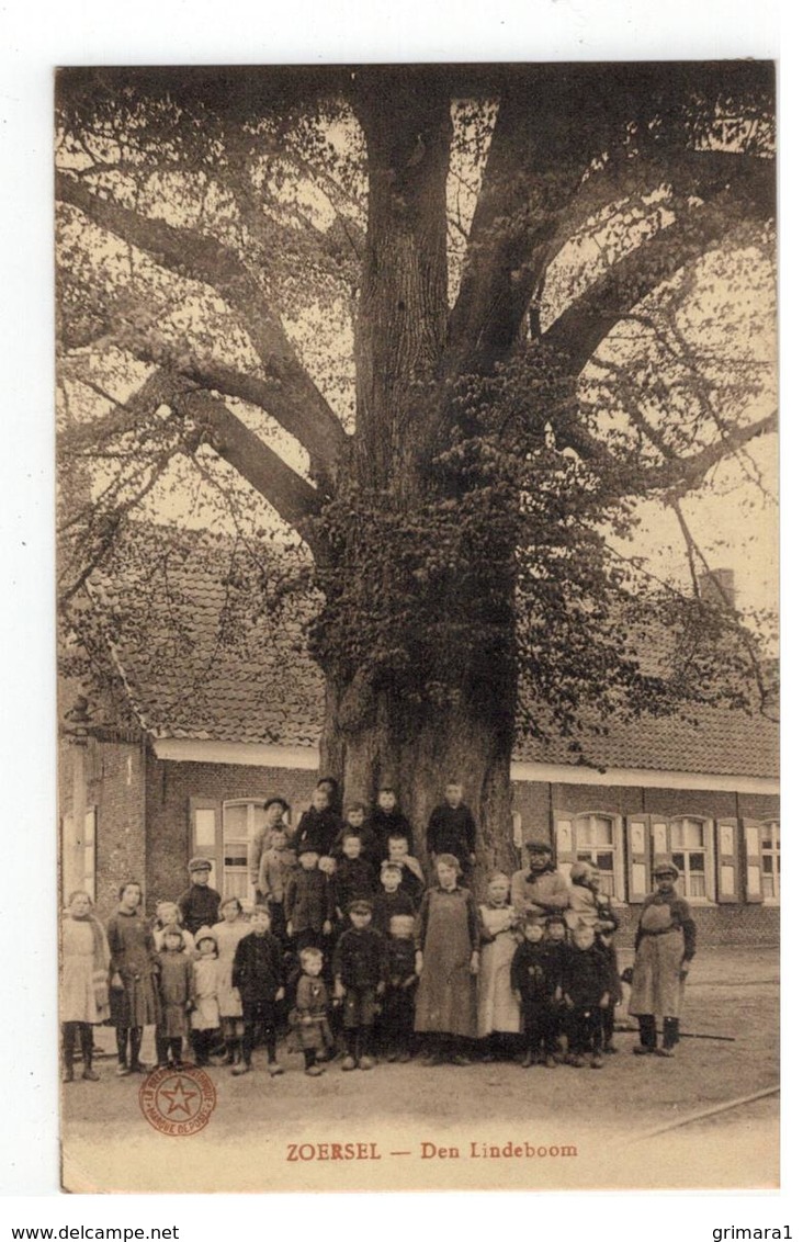 ZOERSEL -  Den Lindeboom 1924 - Zoersel