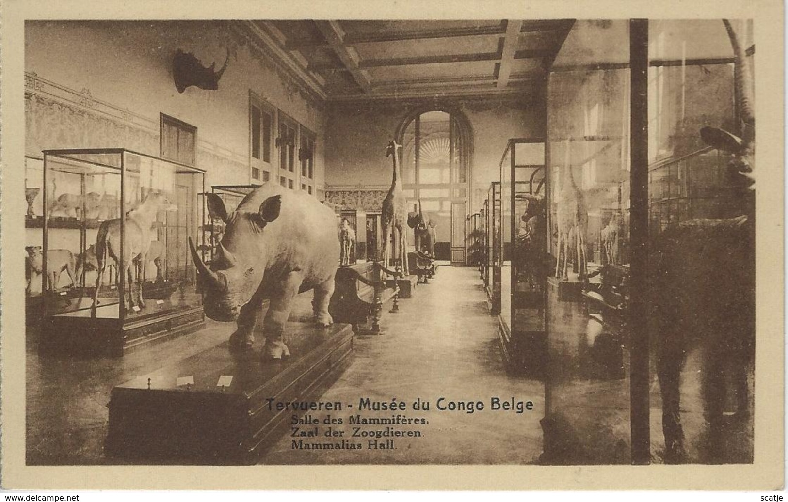 Tervueren   Musée Du Congo Belge. - Tervuren