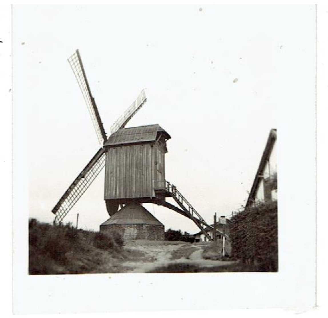 LUMMEN - Molen - Kleine Foto 6,5 X6,5 Cm - Foto F. Wessel + Afgeknipte Postkaart Molen Lummen - Lummen