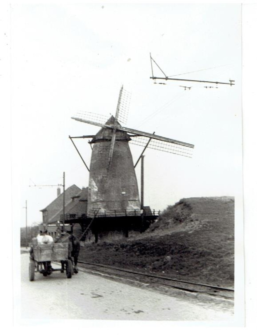 LILLO - Polderdorp Antwerpen - 5 Kleine Foto's 9,5 X 6,5 Cm - Molen De Eenhoorn - Opname 1953 - Antwerpen