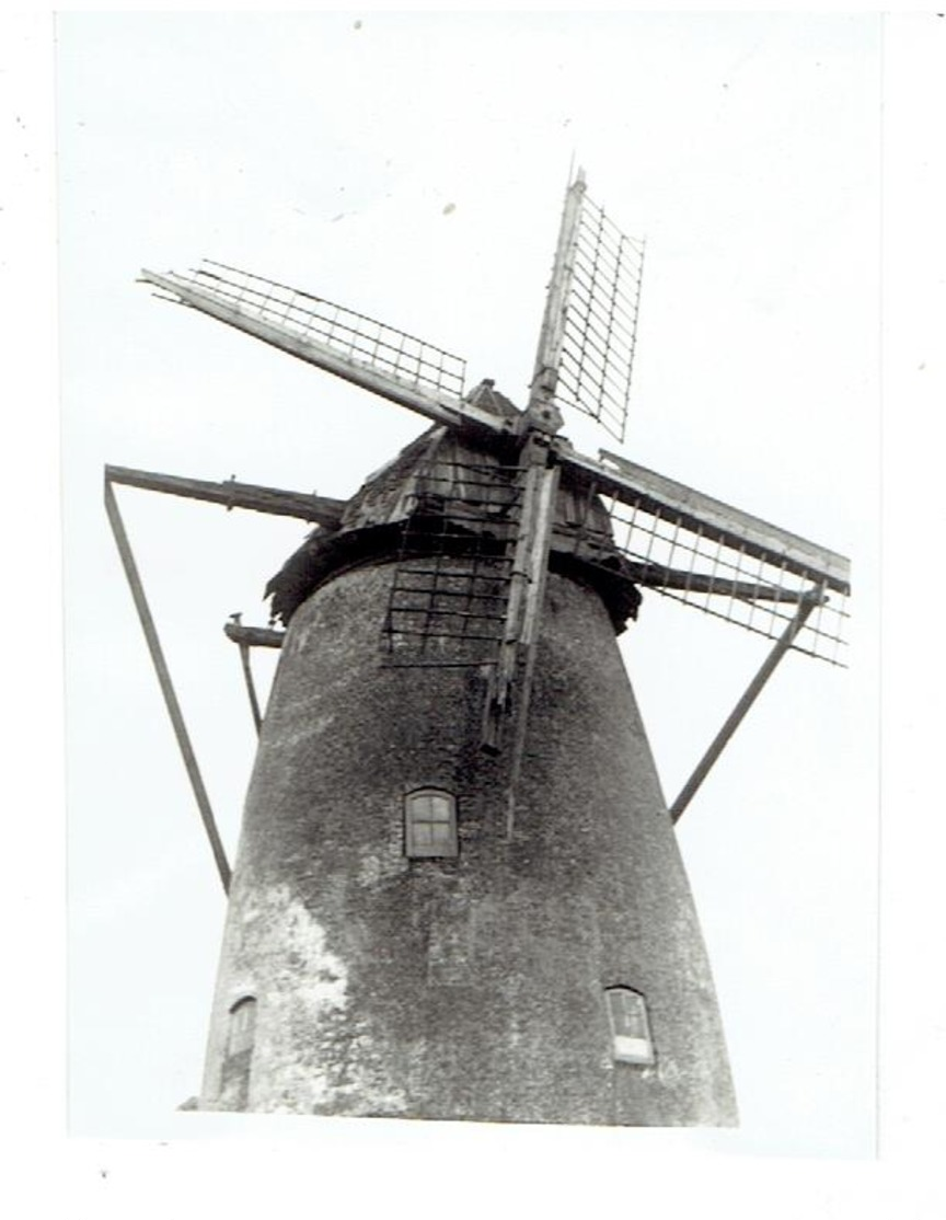 LILLO - Polderdorp Antwerpen - 5 Kleine Foto's 9,5 X 6,5 Cm - Molen De Eenhoorn - Opname 1953 - Antwerpen