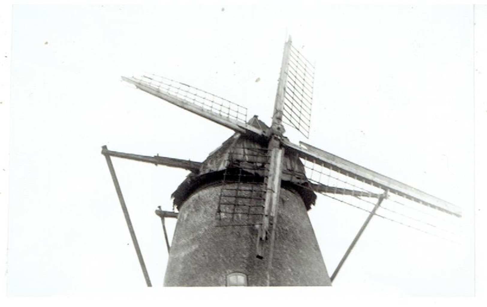 LILLO - Polderdorp Antwerpen - 5 Kleine Foto's 9,5 X 6,5 Cm - Molen De Eenhoorn - Opname 1953 - Antwerpen