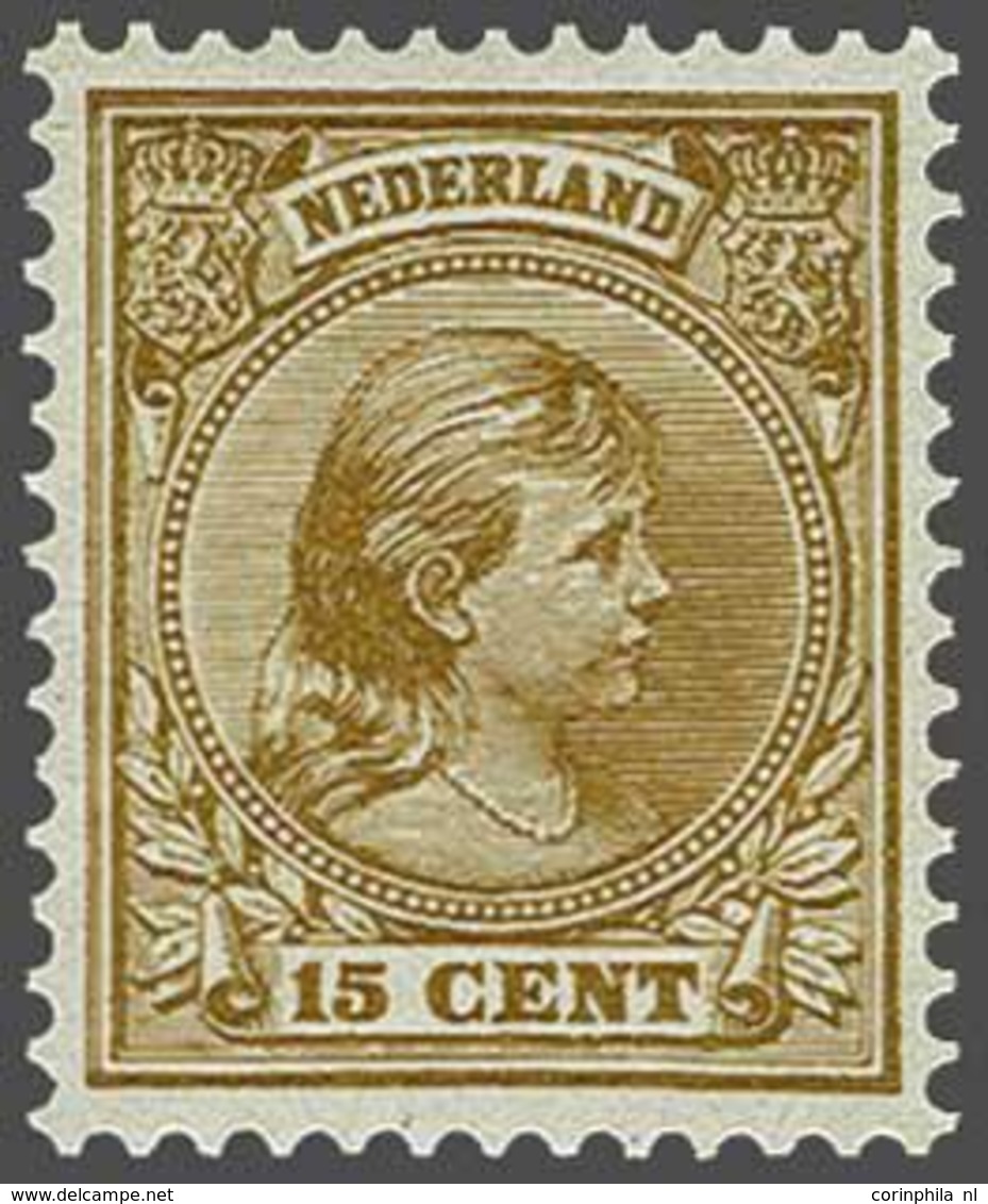 NL 1891 Princess Wilhelmina - Autres & Non Classés