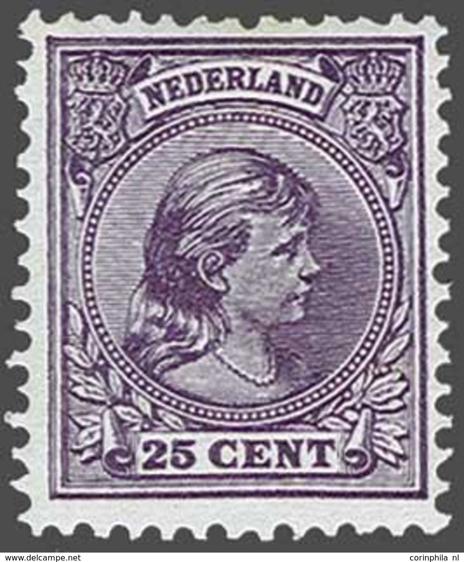 NL 1891 Princess Wilhelmina - Sonstige & Ohne Zuordnung