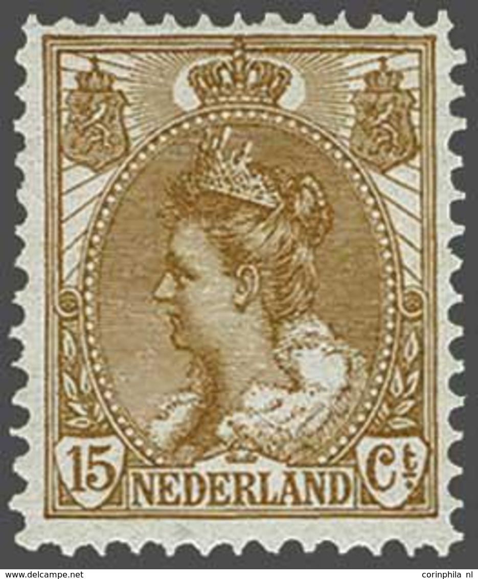 NL 1899 Numerals And Queen Wilhelmina - Autres & Non Classés