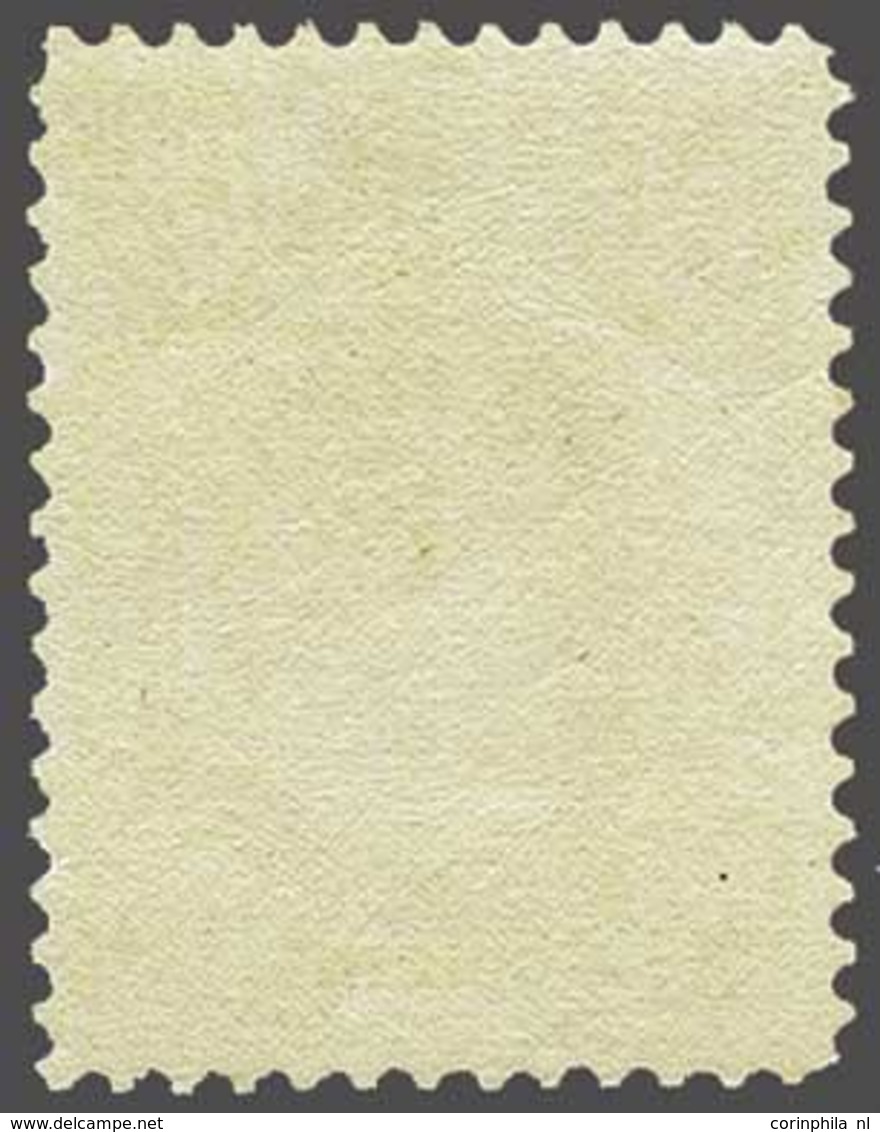 NL 1899 Numerals And Queen Wilhelmina - Autres & Non Classés