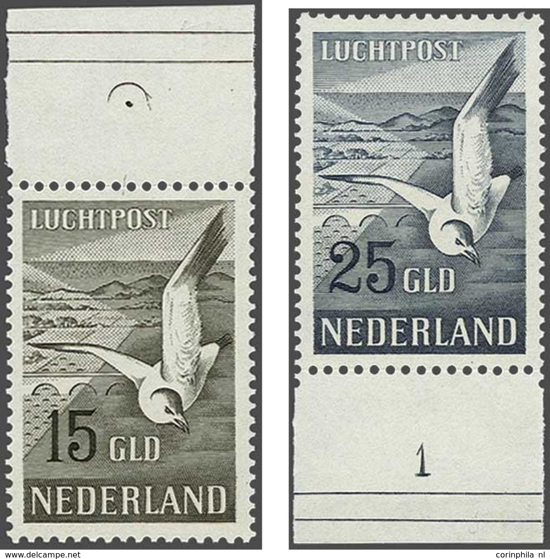 Netherlands - Other & Unclassified