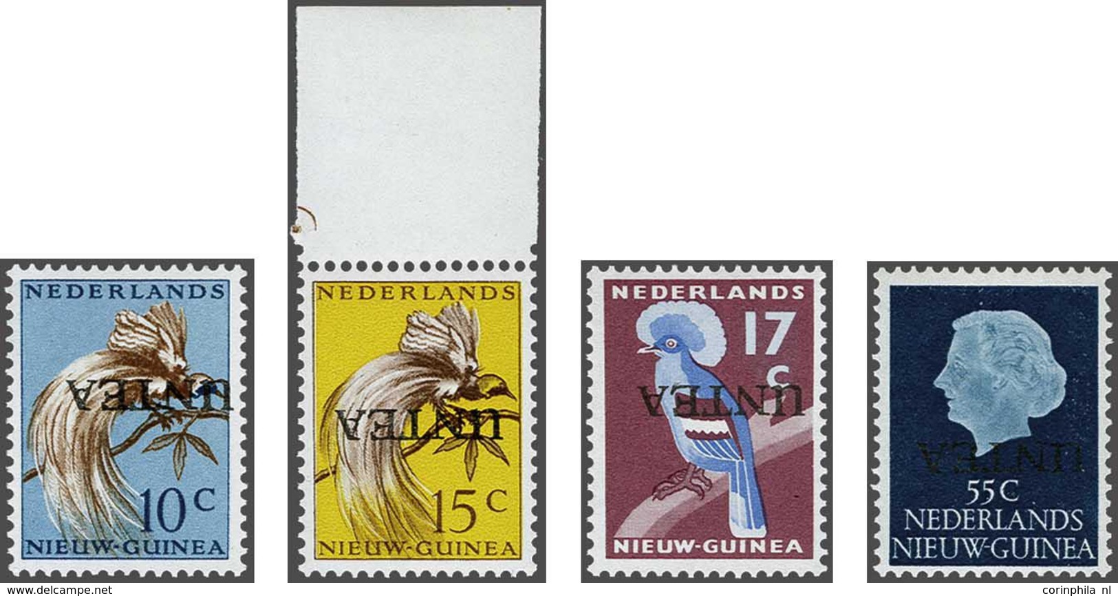 Netherlands New Guinea - Altri & Non Classificati