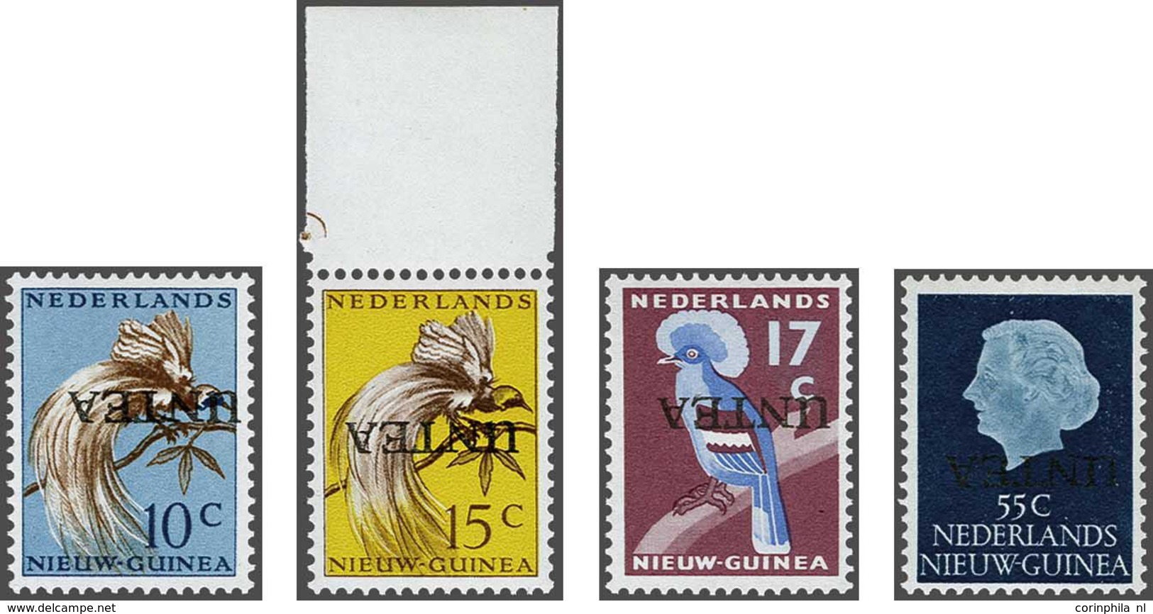 Netherlands New Guinea - Sonstige & Ohne Zuordnung