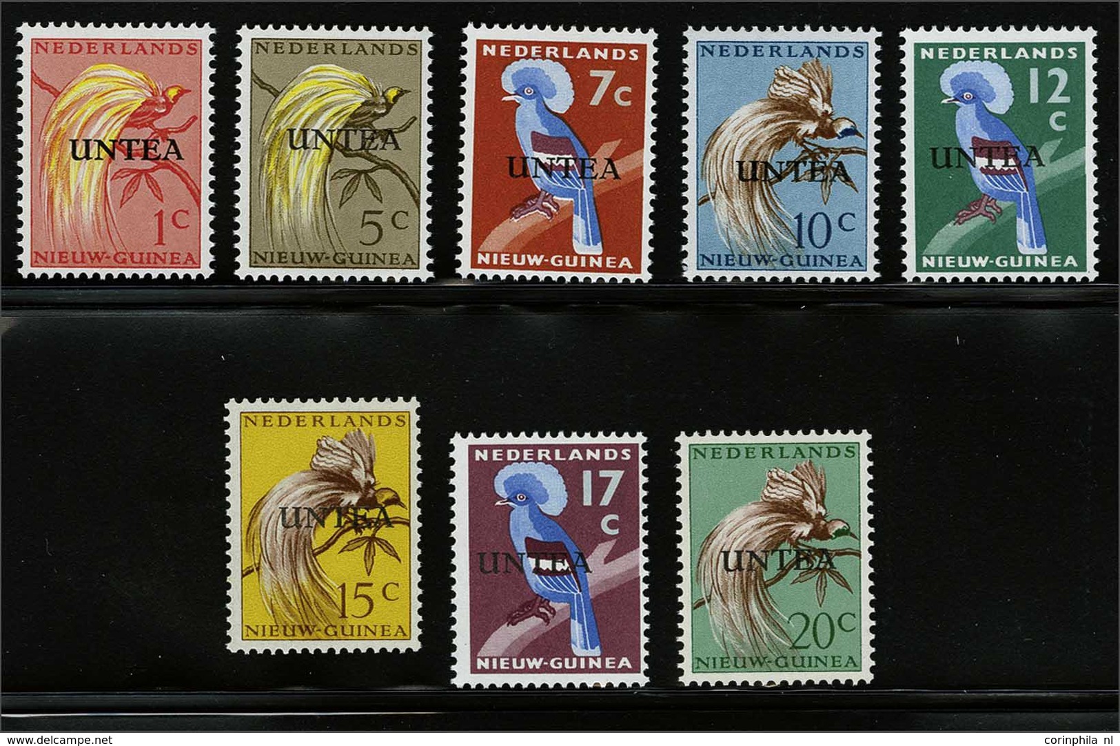 Netherlands New Guinea - Altri & Non Classificati