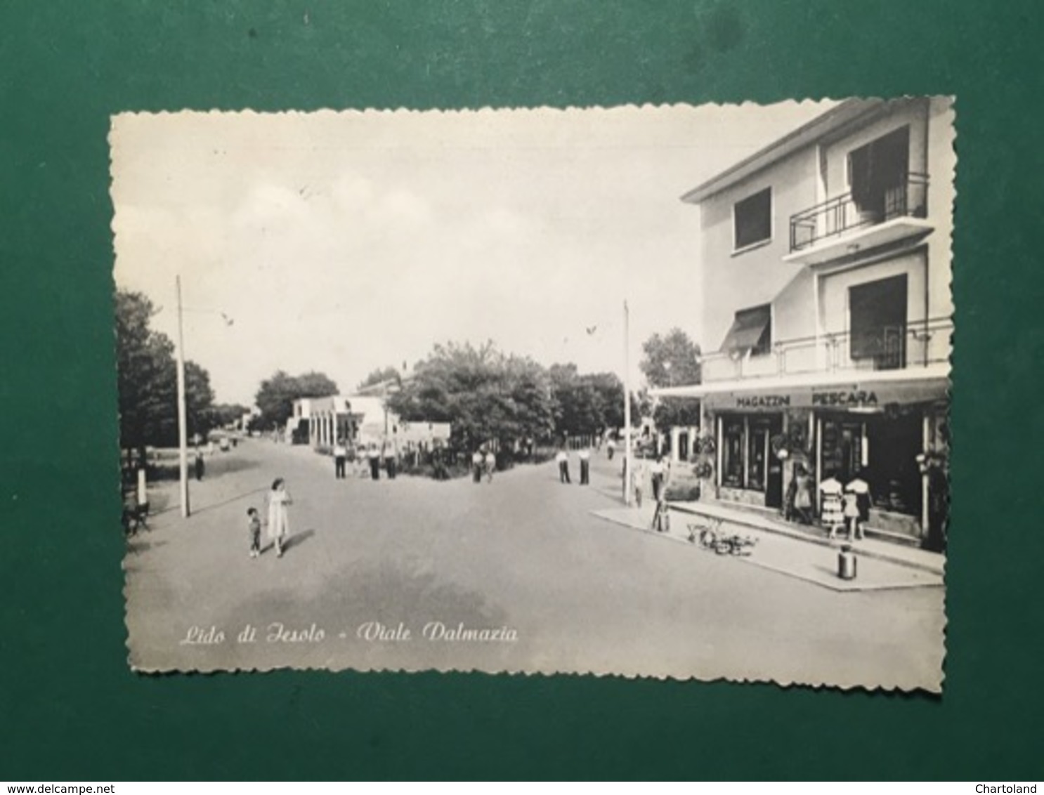 Cartolina Lido Di Jesolo - Viale Dalmazia - 1955 - Venezia