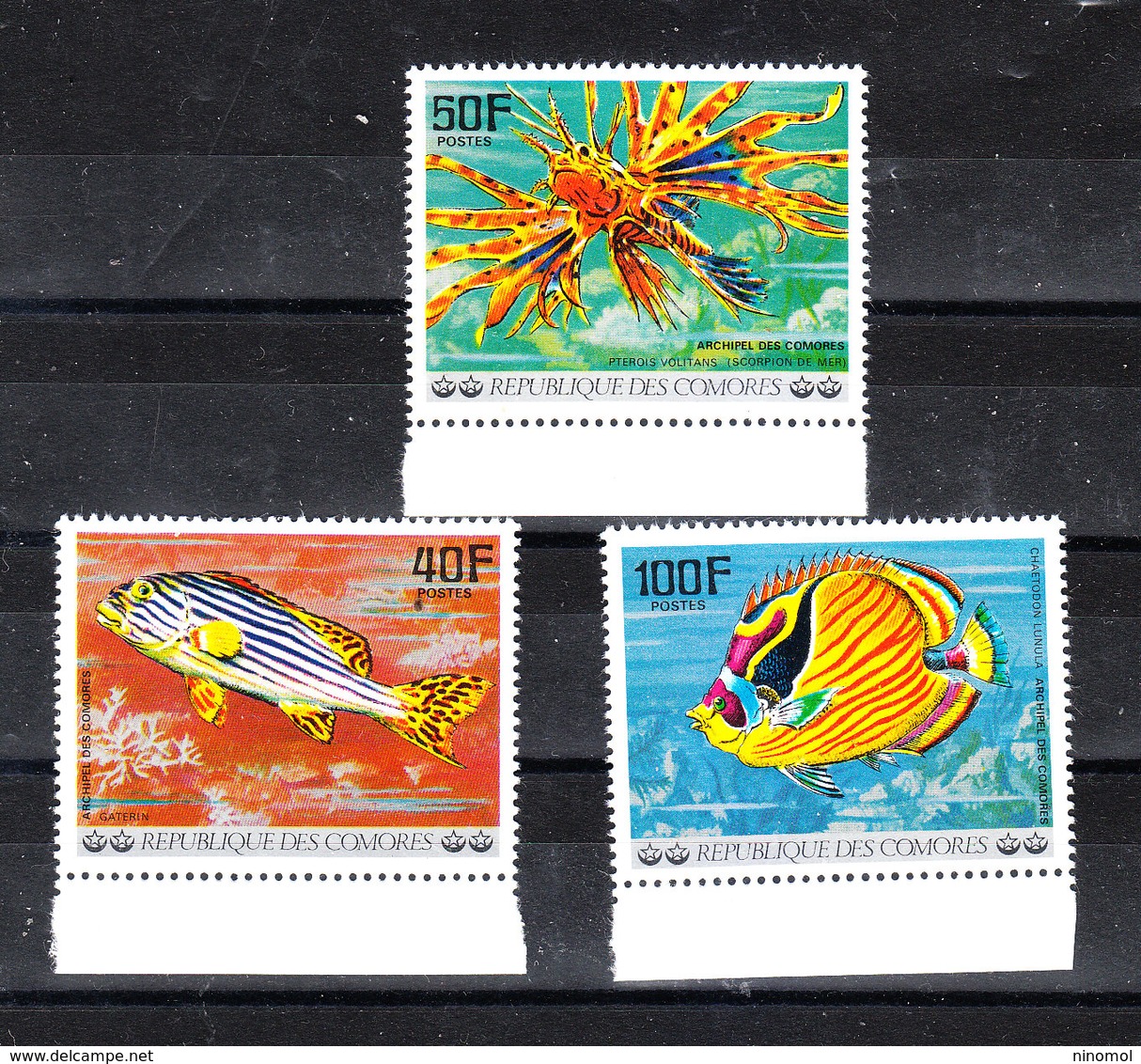 Comores  - 1977. Serie " Pesci ".Quelli Della Barriera Corallina Da Acquario. Fish . Those For Aquarium Coral Reef. MNH - Pesci