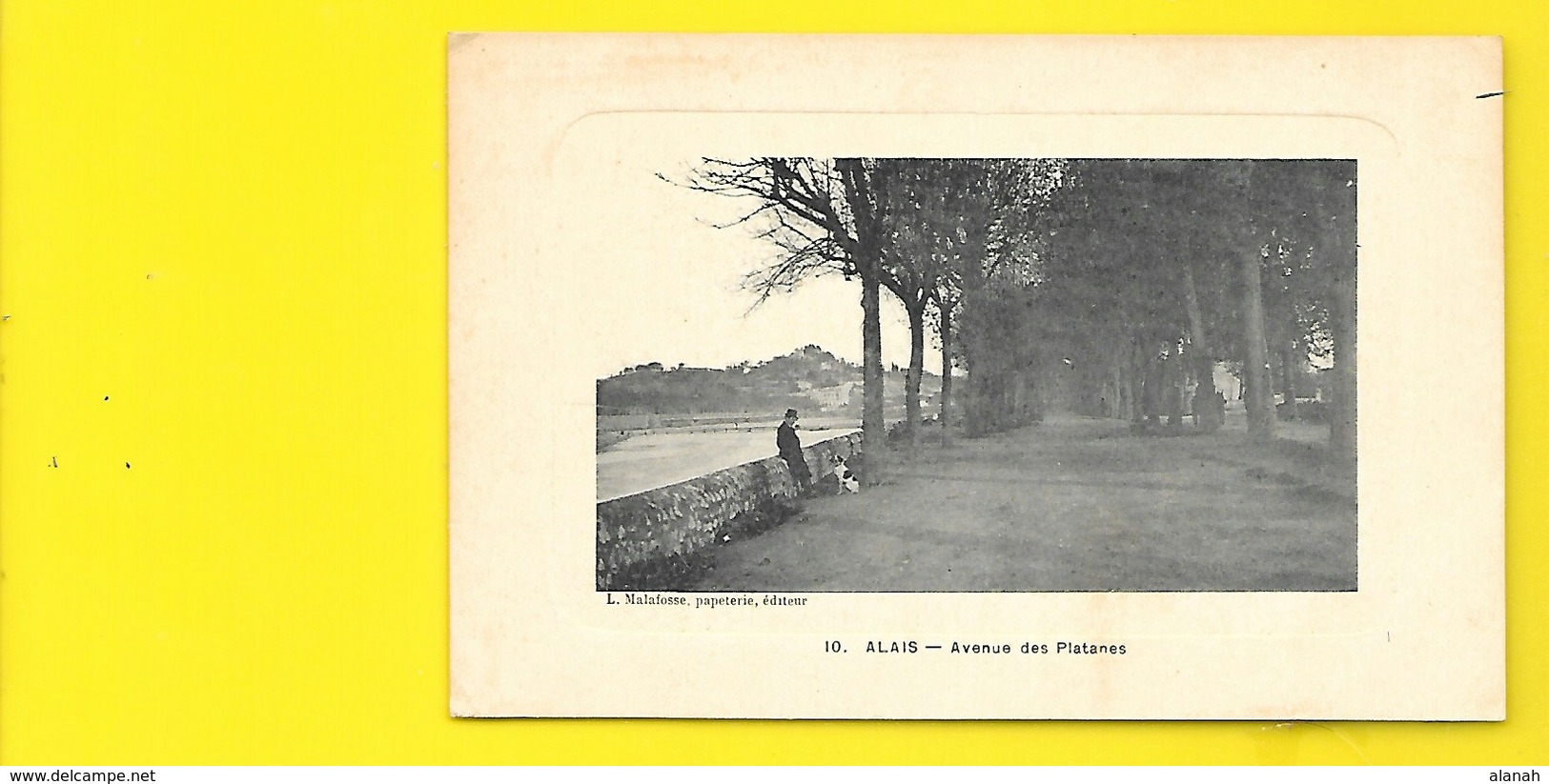 ALAIS Rare Avenue Des Platanes (Malafosse) Gard (30) - Alès