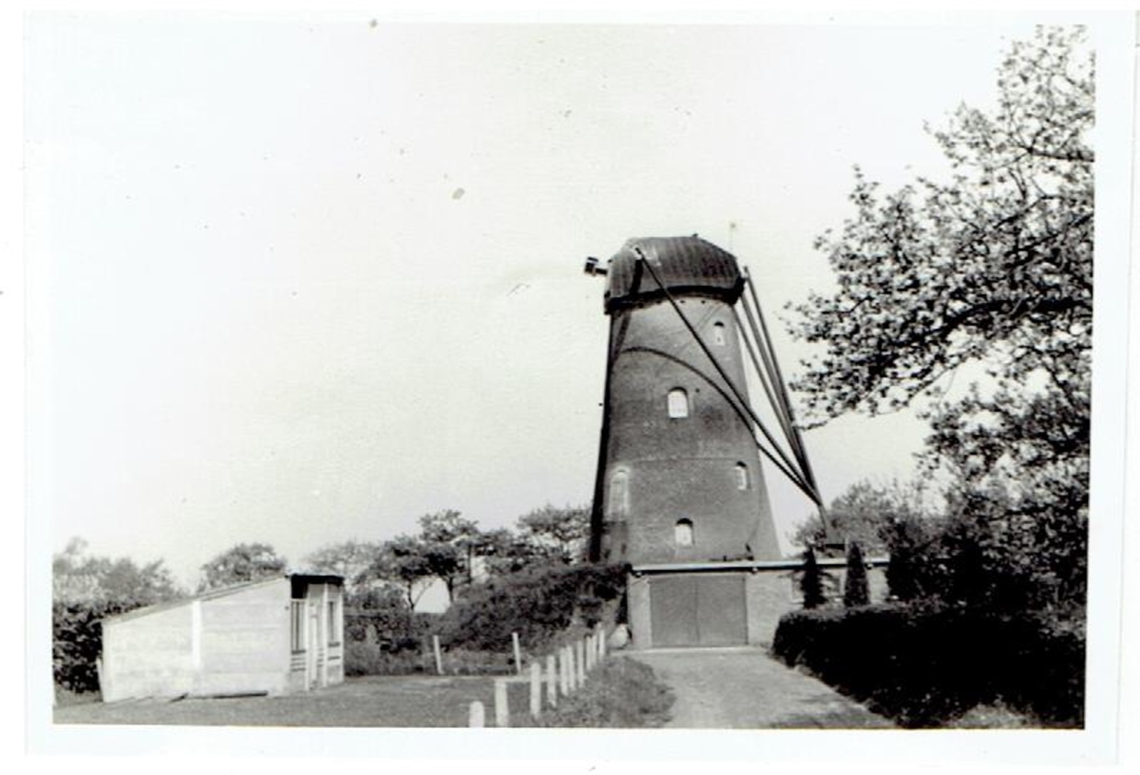 HOOGSTRATEN - 2 Kleine Foto's 9,5 X 6,5 Cm - Opname Van Molen 1952 - 1 Foto Met Wieken - 1 Foto Zonder Wieken - Hoogstraten