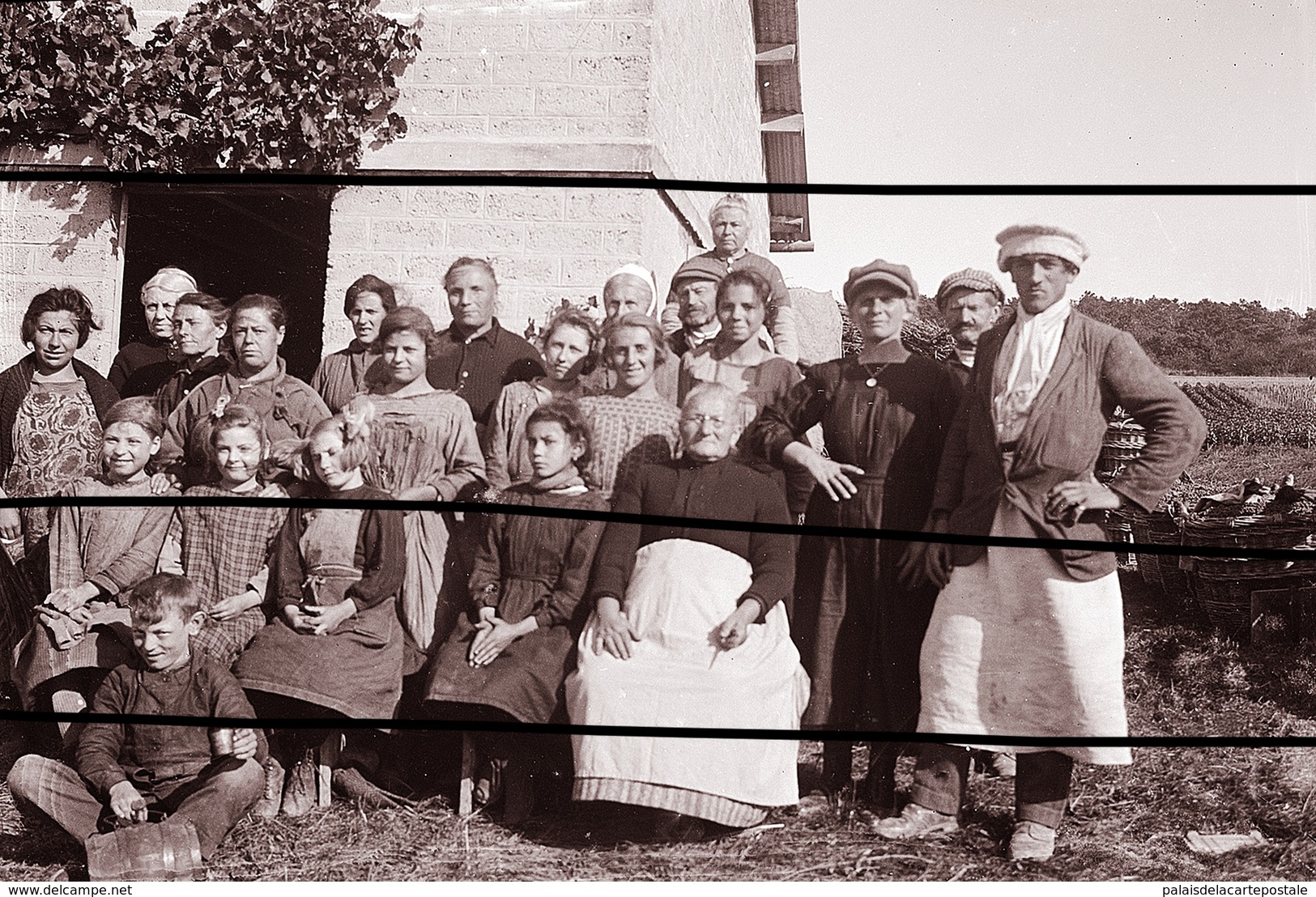 BISSEUIL VIGNERONS   TIRAGE D APRES PLAQUE PHOTO ANCIENNE - Beroepen