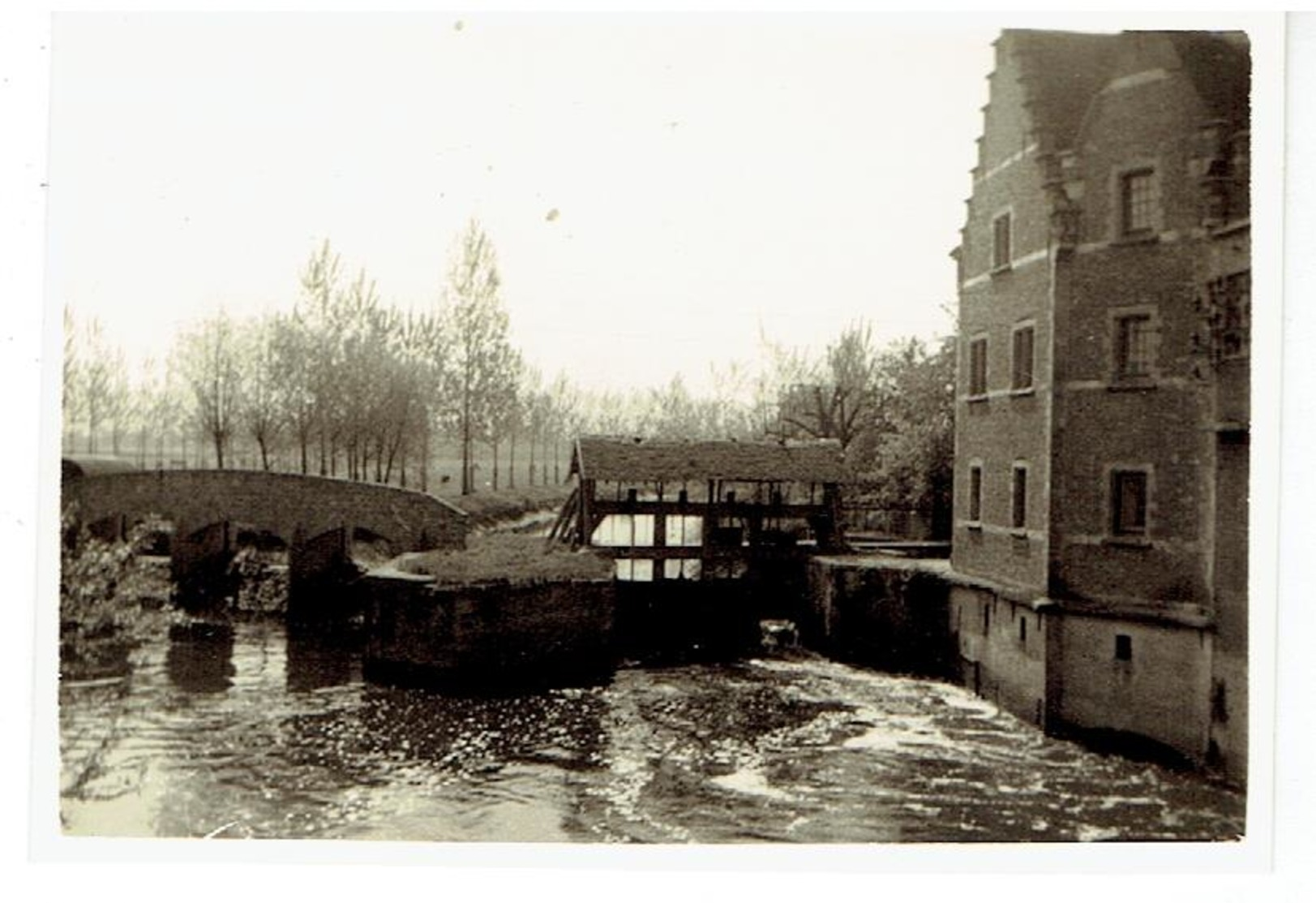 HALEN - Limburg - 7 Kleine Foto's 9,5 X 6,5 Cm - Watermolen Op De Gete - Opnames 1954 - Halen