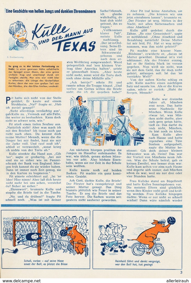 Das Sternchen /  Beilage zum Stern Nr.29 vom 19.Juli 1953