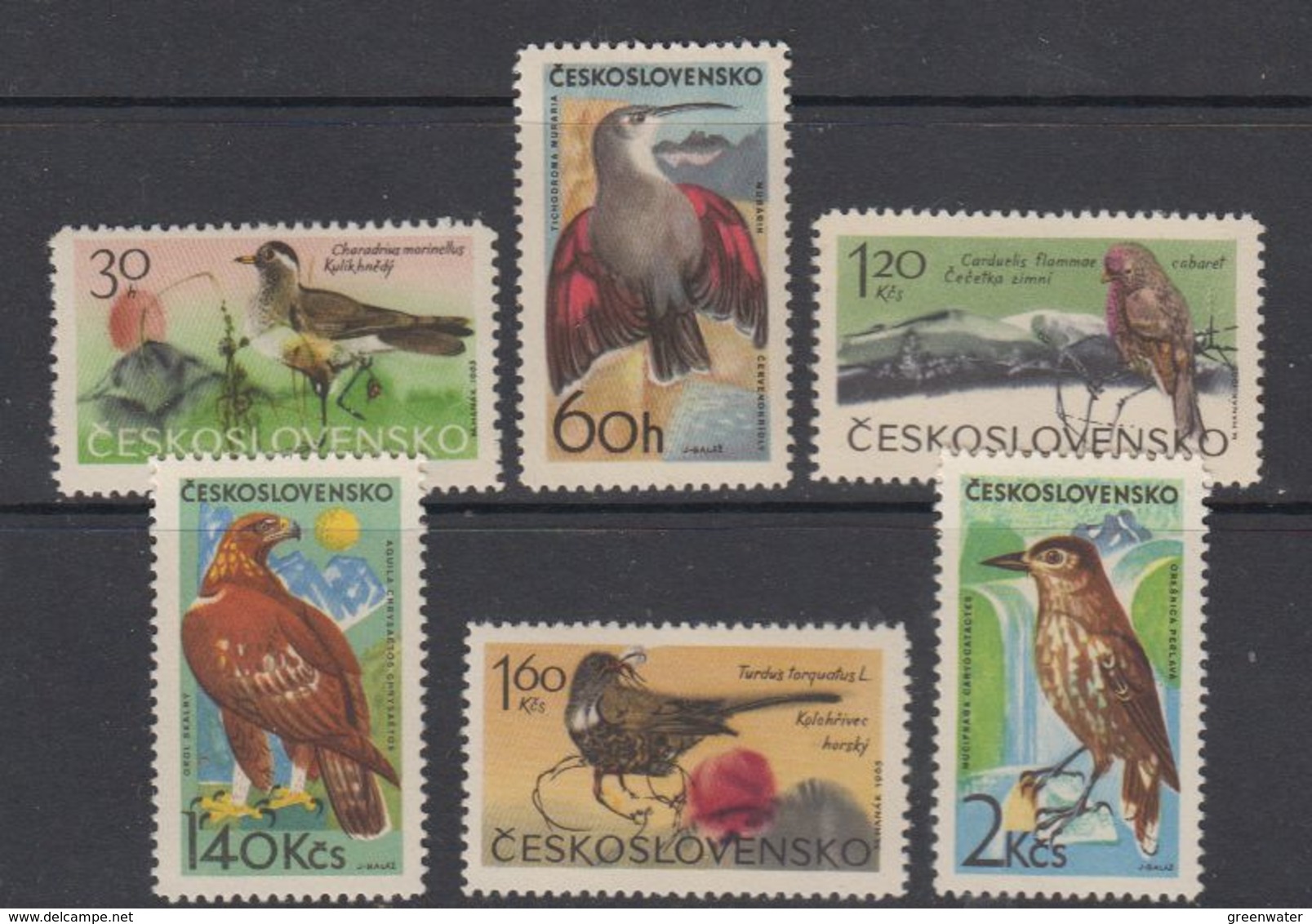 Czechoslovakia 1965 Gebirgsvogel 6v ** Mnh (44099A) - Ongebruikt