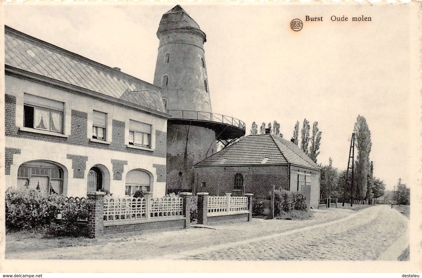 Oude Molen Burst  - ALBERT - Erpe-Mere