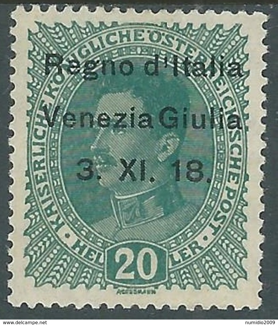 1918 VENEZIA GIULIA EFFIGIE 20 H MH * - RA22-2 - Venezia Giulia