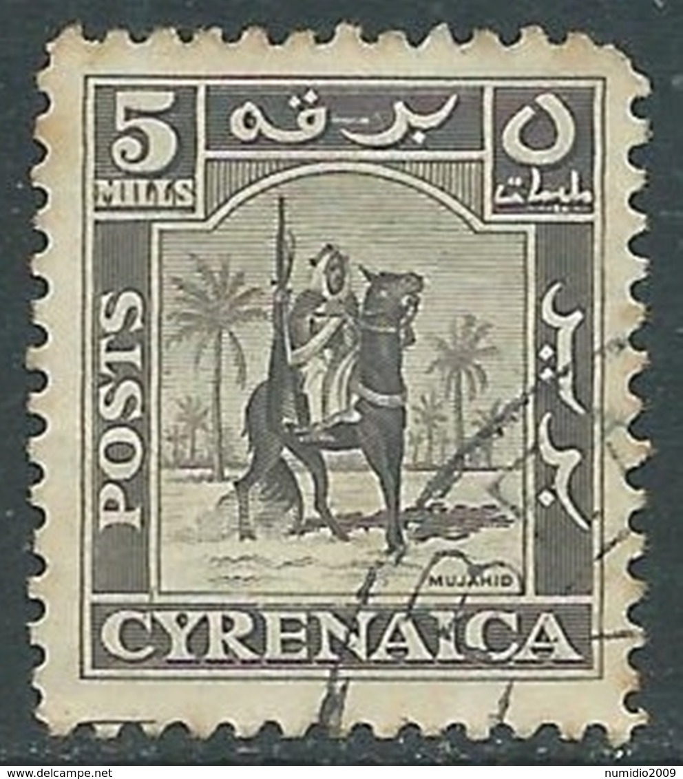 1950 CIRENAICA AMMINISTRAZIONE AUTONOMA USATO CAVALIERE 5 M - RA28 - Cirenaica