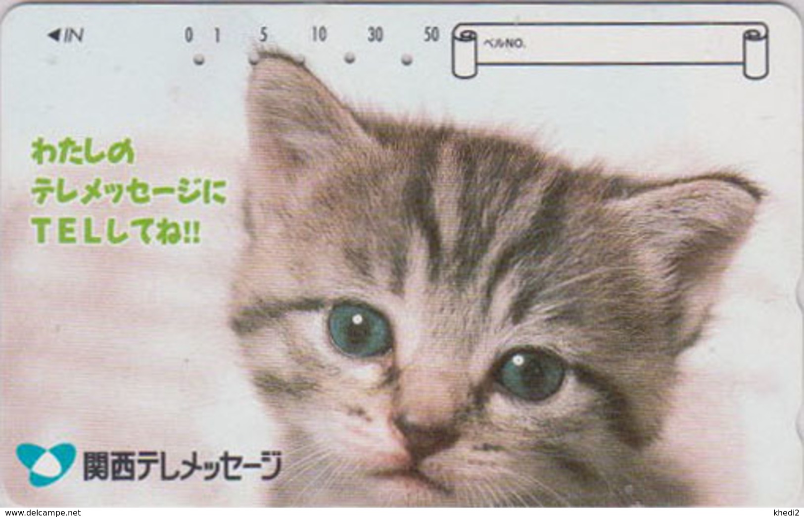 Télécarte Japon / 110-016 - ANIMAL - CHAT Gris ** Telemessage ** - CAT Japan Phonecard - KATZE  - GATTO - GATO - 5019 - Chats