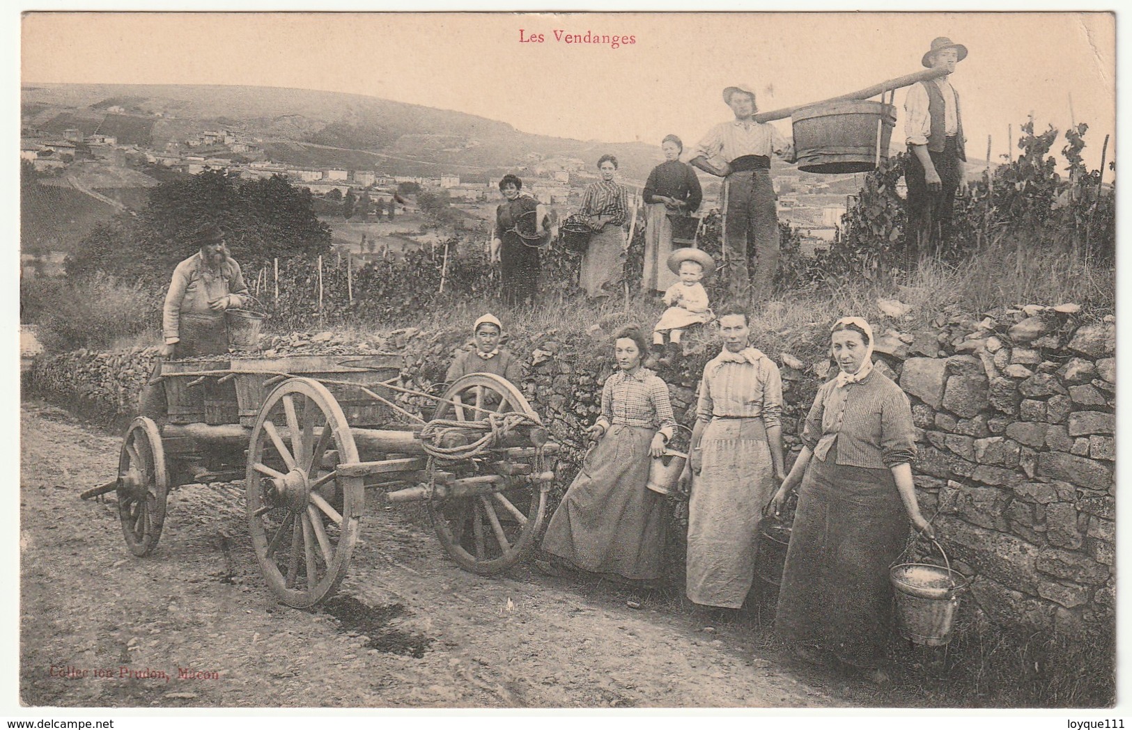 Vendanges En Bourgogne -  Collection Prudon, Macon - - Vines